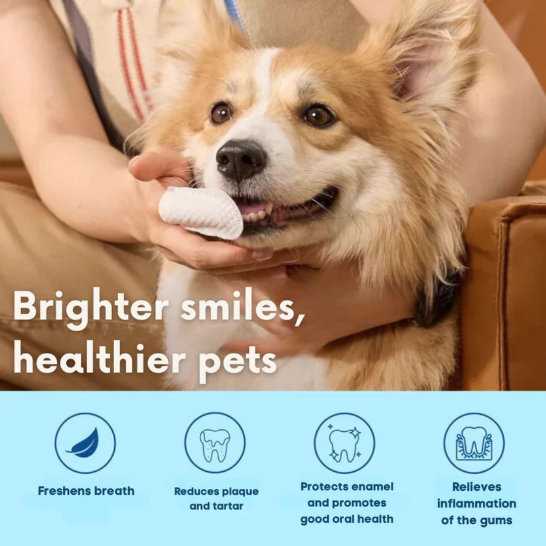 SafeSmile Finger Wipes