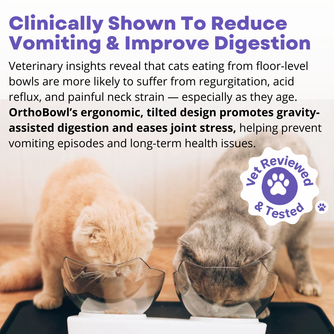 OrthoBowl™