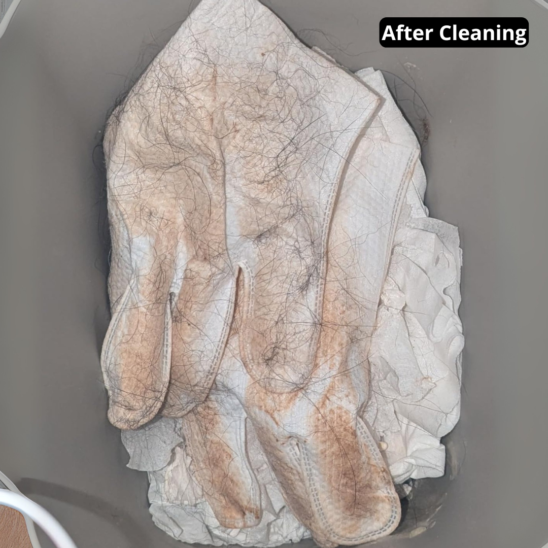 GloveWipe Pet Cleanser