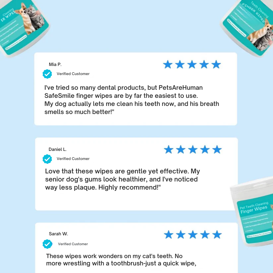 SafeSmile Finger Wipes