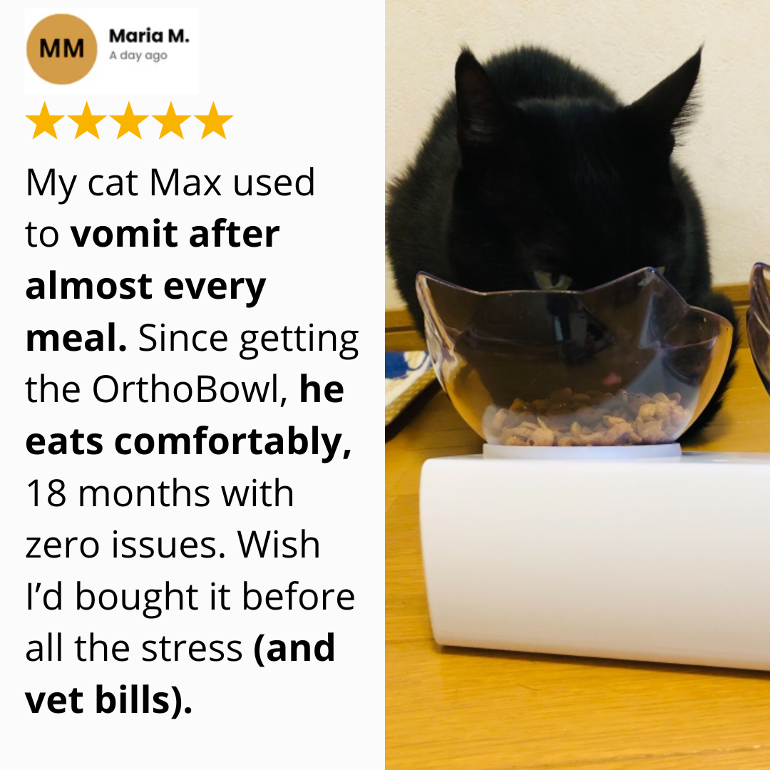OrthoBowl™