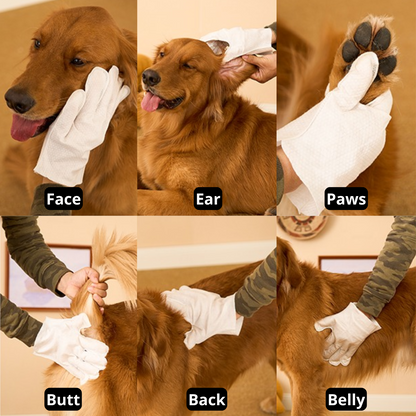 GloveWipe Pet Cleanser