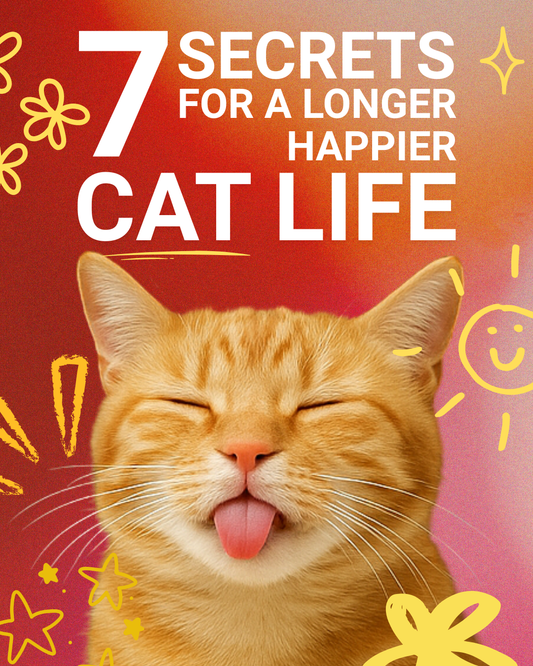 ($15 Value) 7 Secrets For A Longer,Happier Cat Life - Ebook