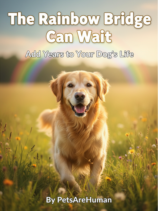 The Rainbow Bridge Can Wait: Add Years to Your Dog's Life